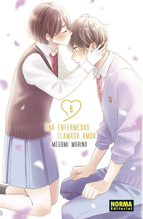Una enfermedad llamada amor 05
